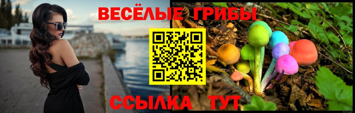Ишимбай  Псилоцибиновые грибы мицелий  наркошоп  Вход с VPN 